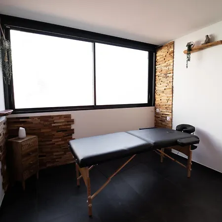 Loft 150 M2 Jacuzzi, Sauna Et Massage Daire Blagnac