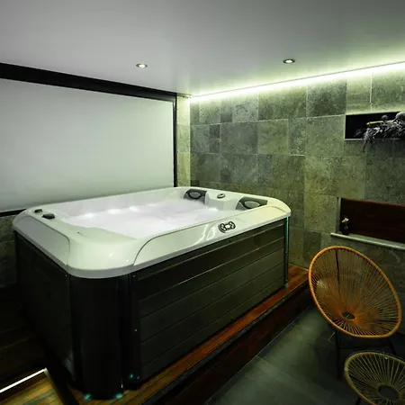 Daire Loft 150 M2 Jacuzzi, Sauna Et Massage Blagnac