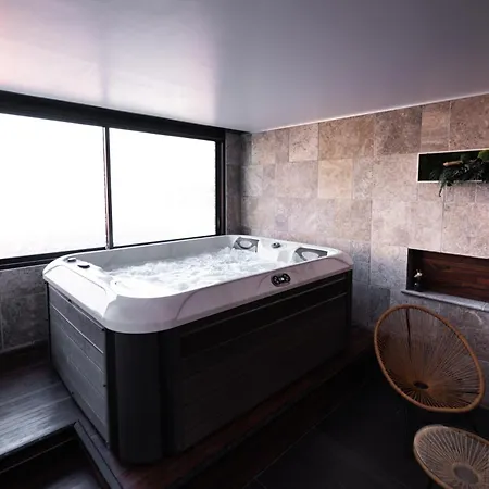 Loft 150 M2 Jacuzzi, Sauna Et Massage Daire Blagnac