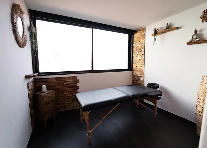 Loft 150 M2 Jacuzzi, Sauna Et Massage Appartement Blagnac